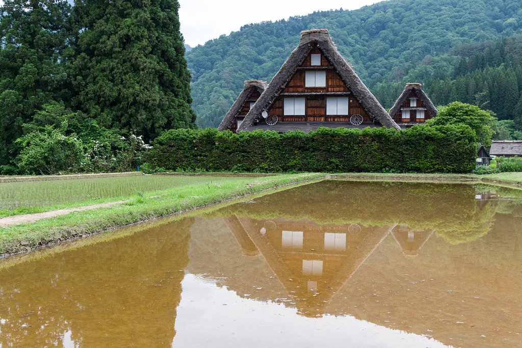 白川郷_初夏の佇まい