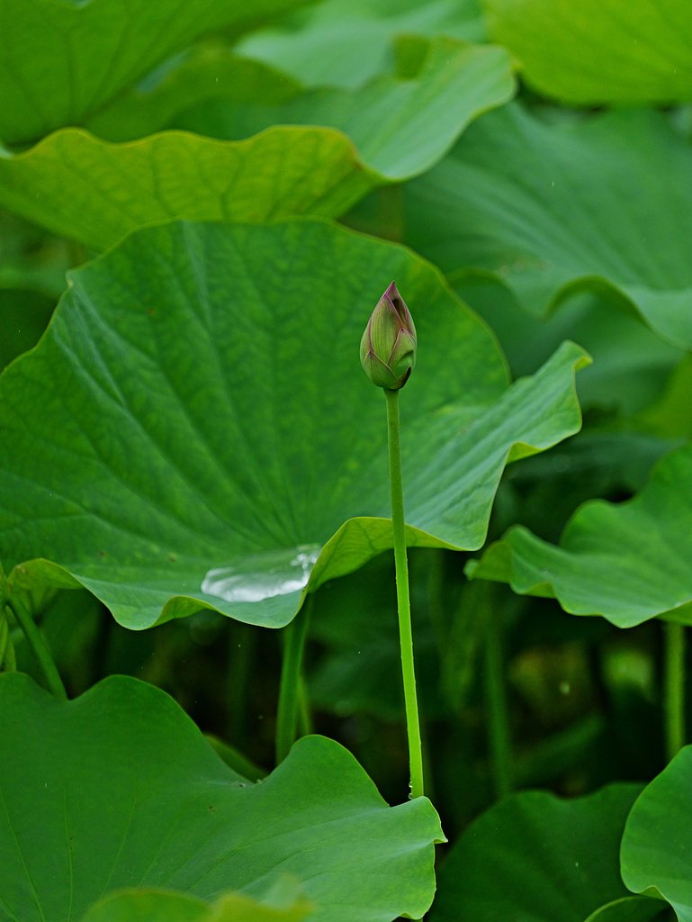 次の出番です