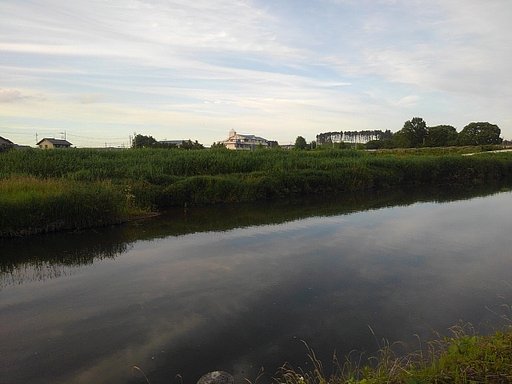 映り込みが綺麗な夕方の川