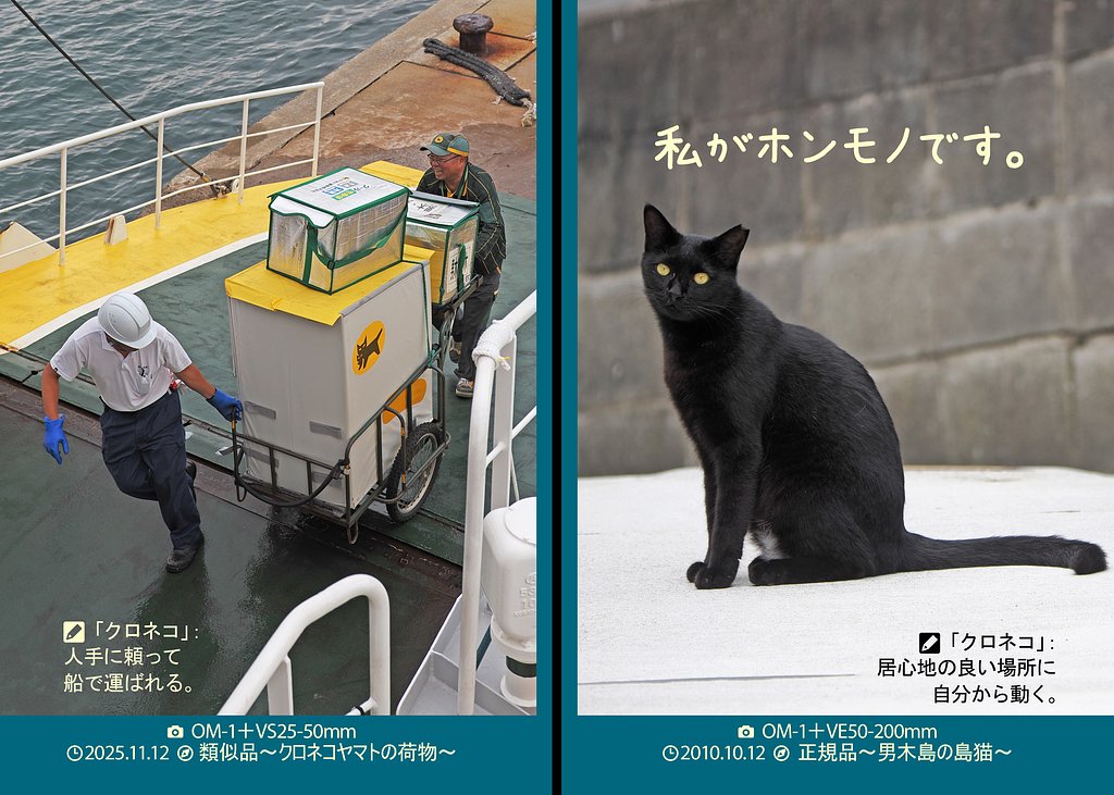 正規品と類似品２