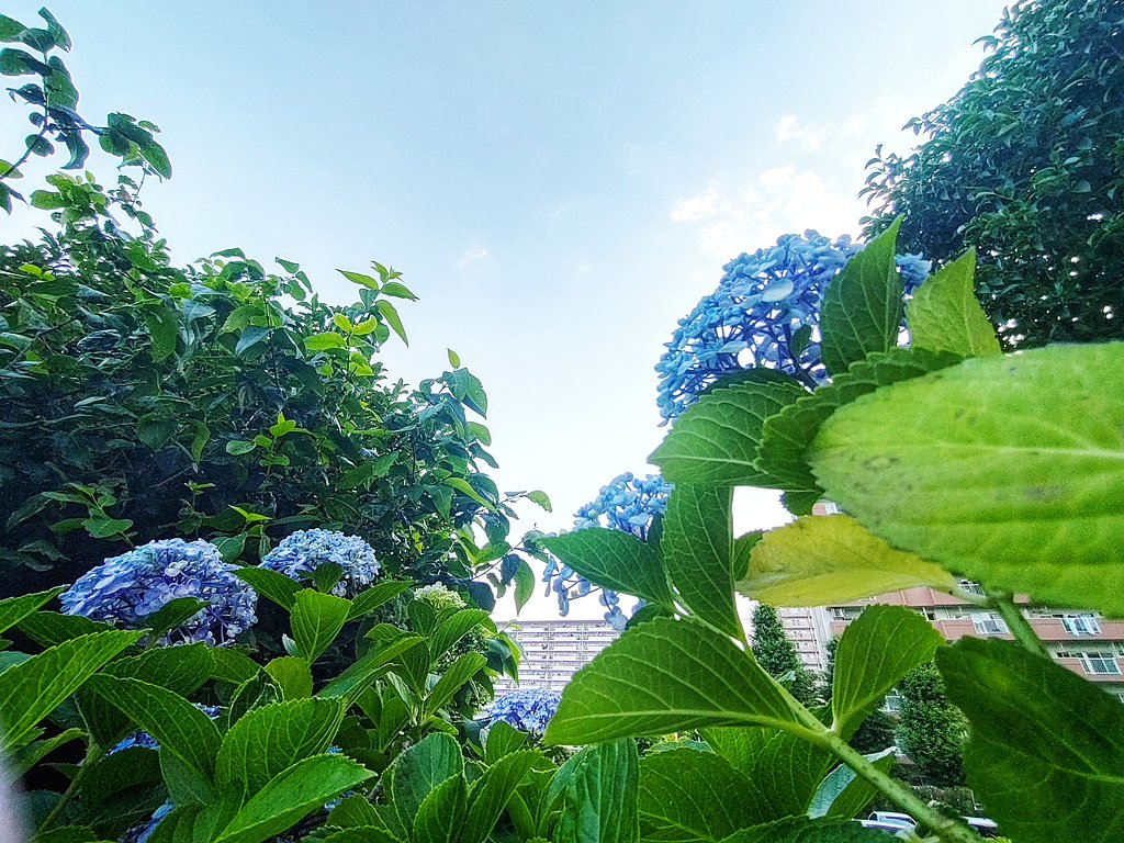 青空へ
