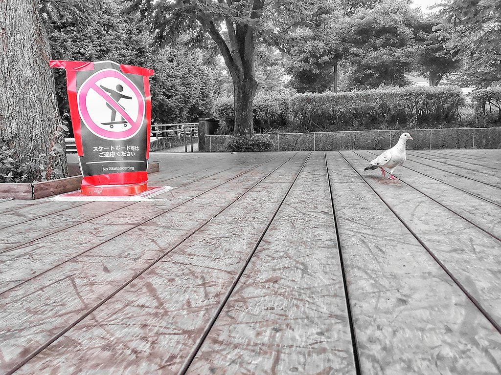 モノカラー