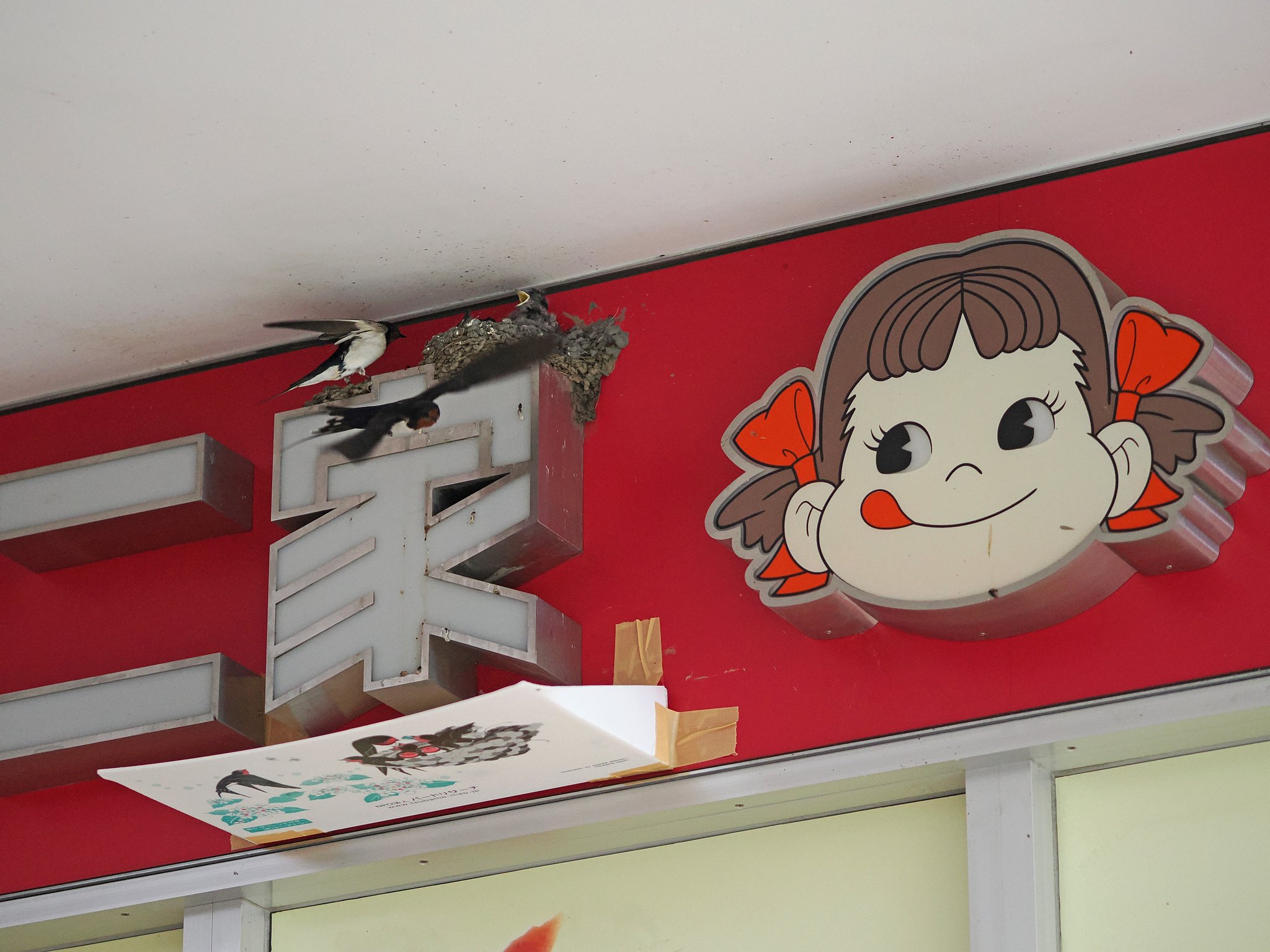 ぺこちゃんハウスの間取り