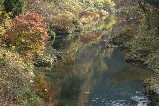 朝の清流