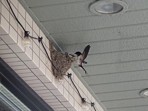 タッチダウン