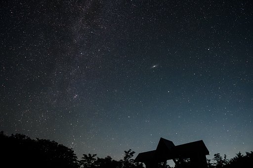 7月25日の写真