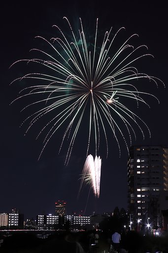 地元花火ィ（その１）