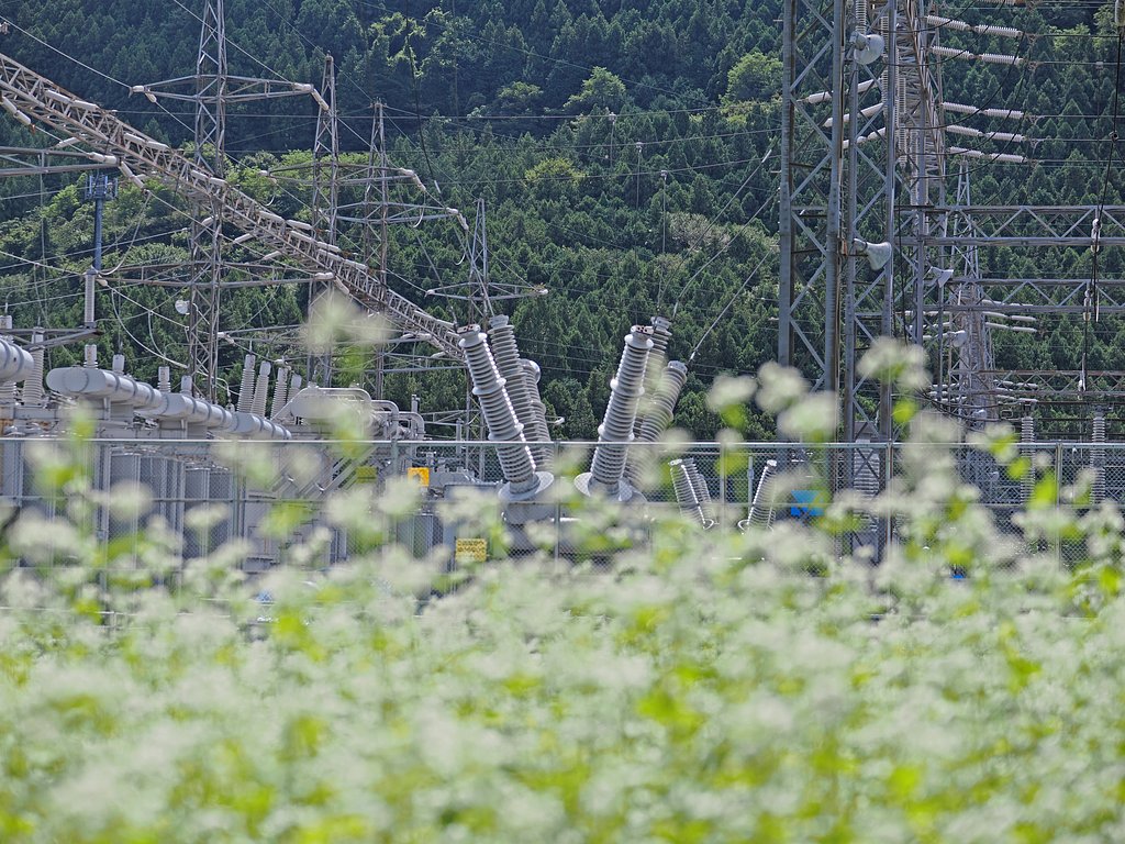 生産地