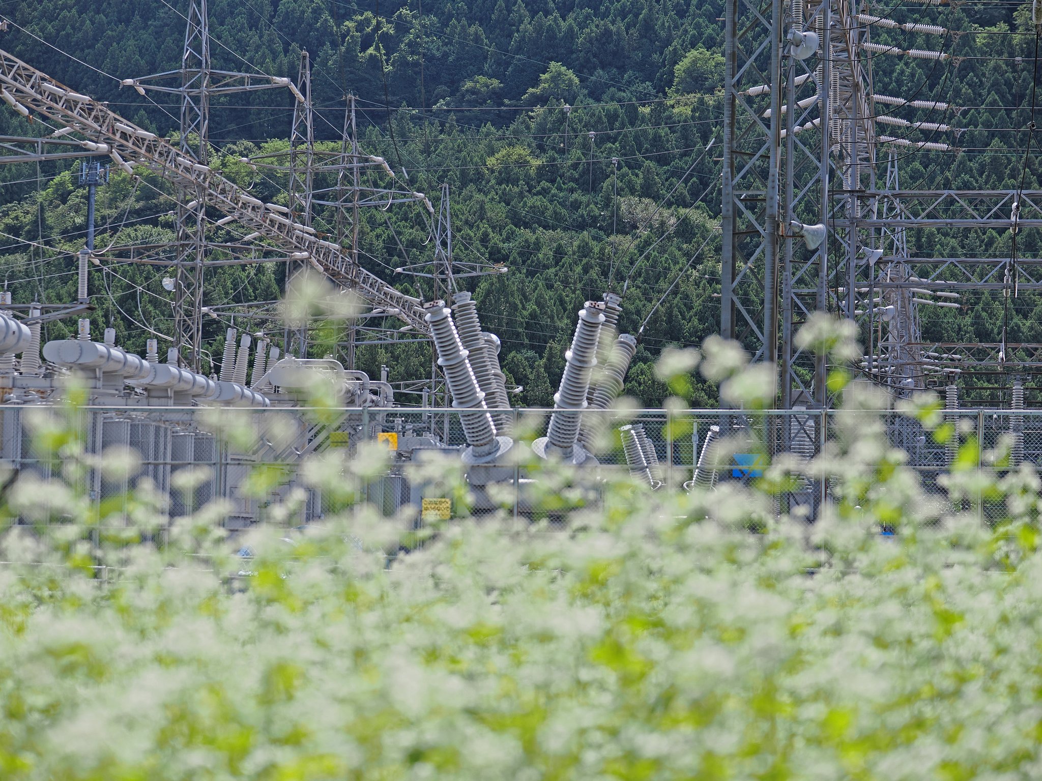 生産地
