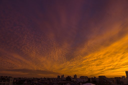 10月8日の写真