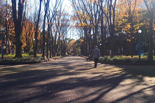 「陽光」背中に