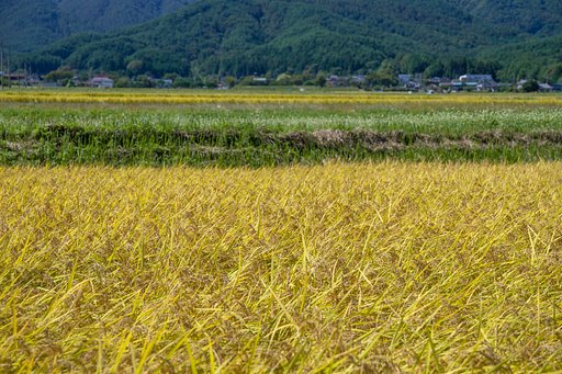 9月27日の写真