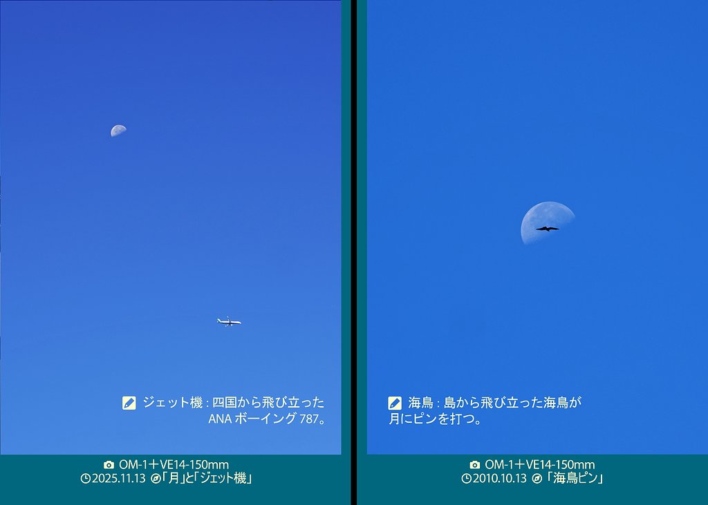 月と戯れる