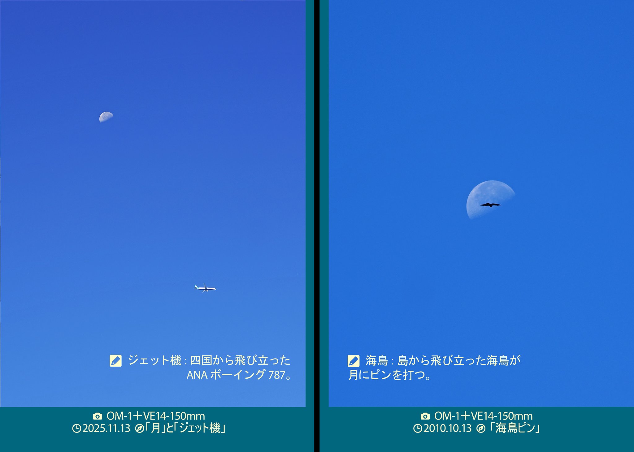 月と戯れる