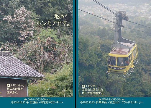 正規品と類似品３
