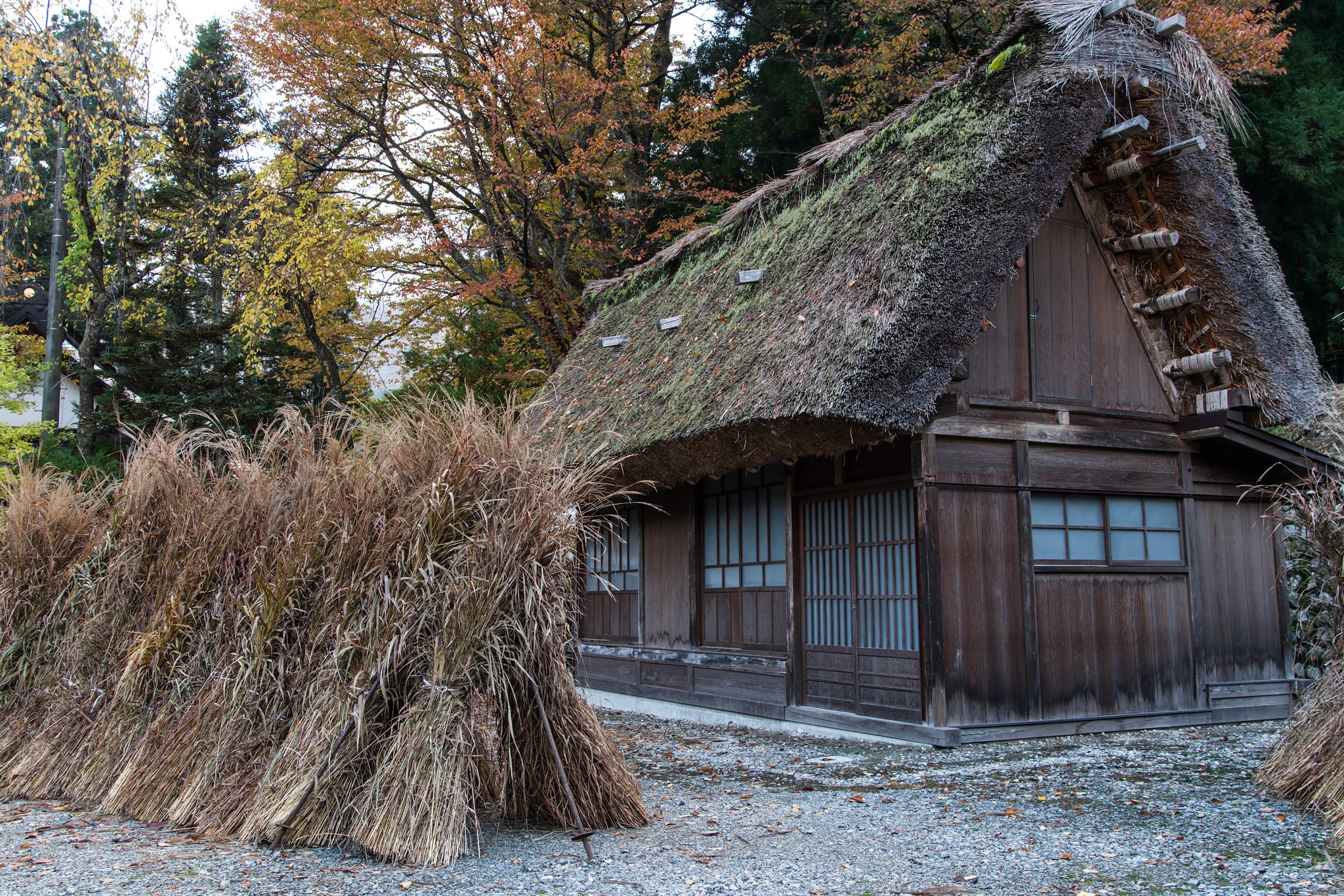晩秋の白川郷締め