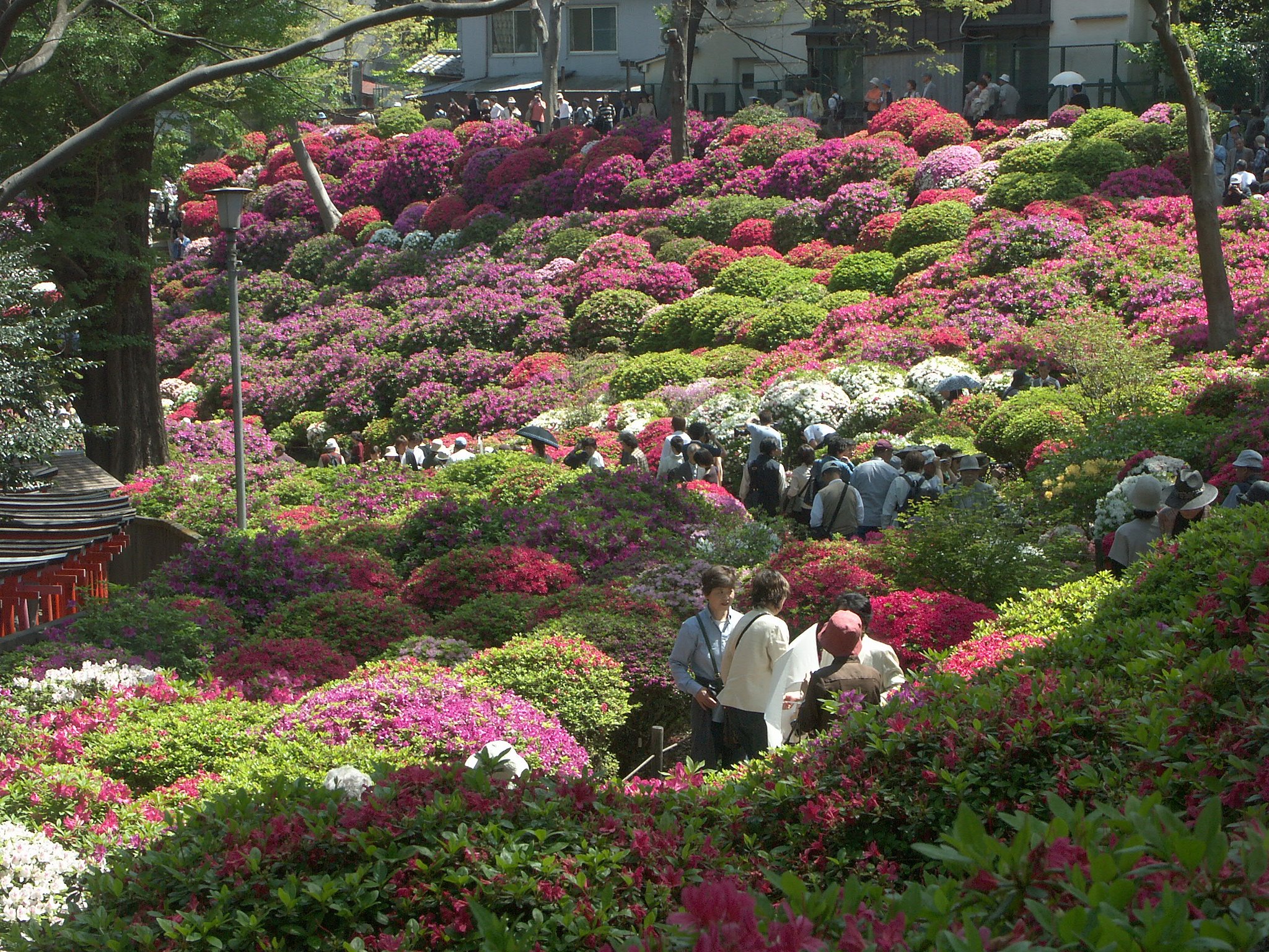 根津神社（文京区）
