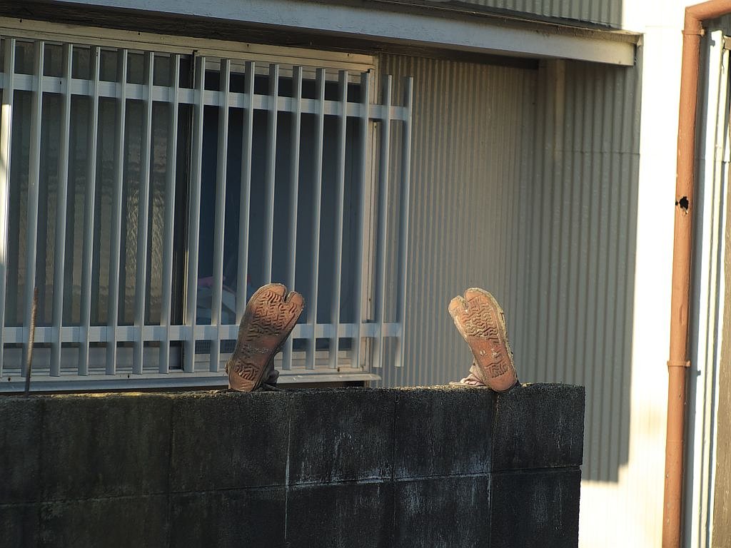 どこに寝ているのですか！