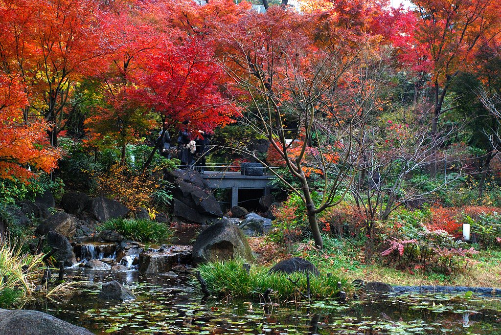 毛利庭園