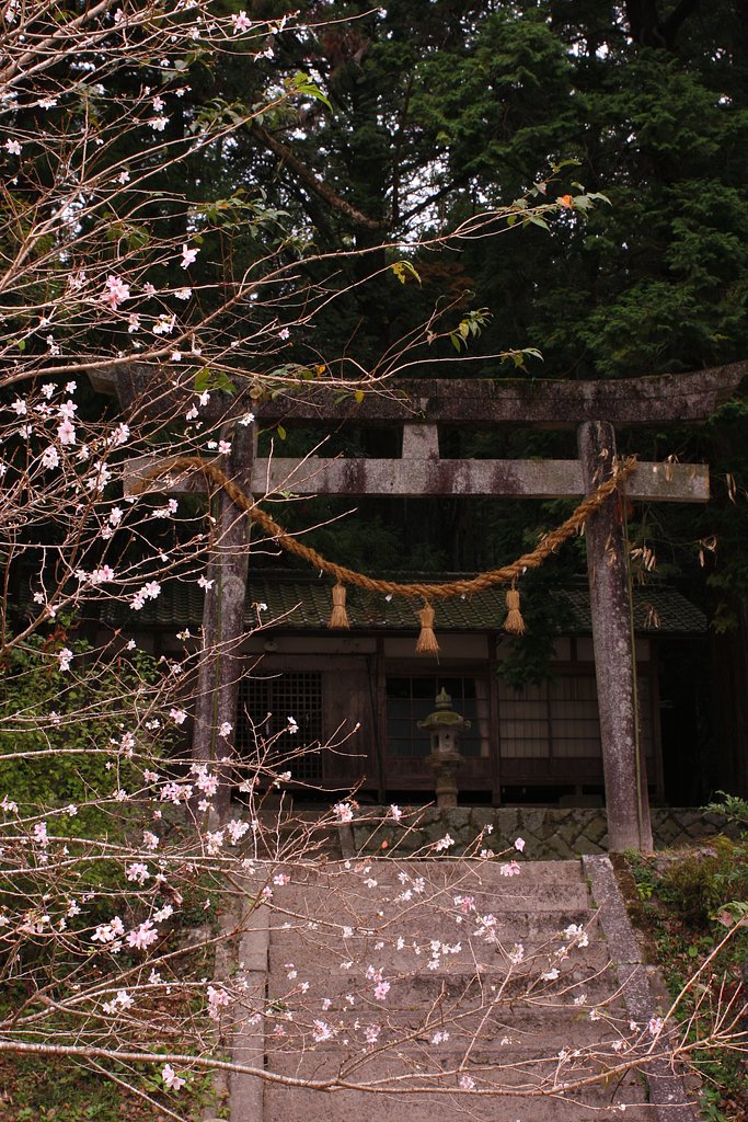 神国へようこそ