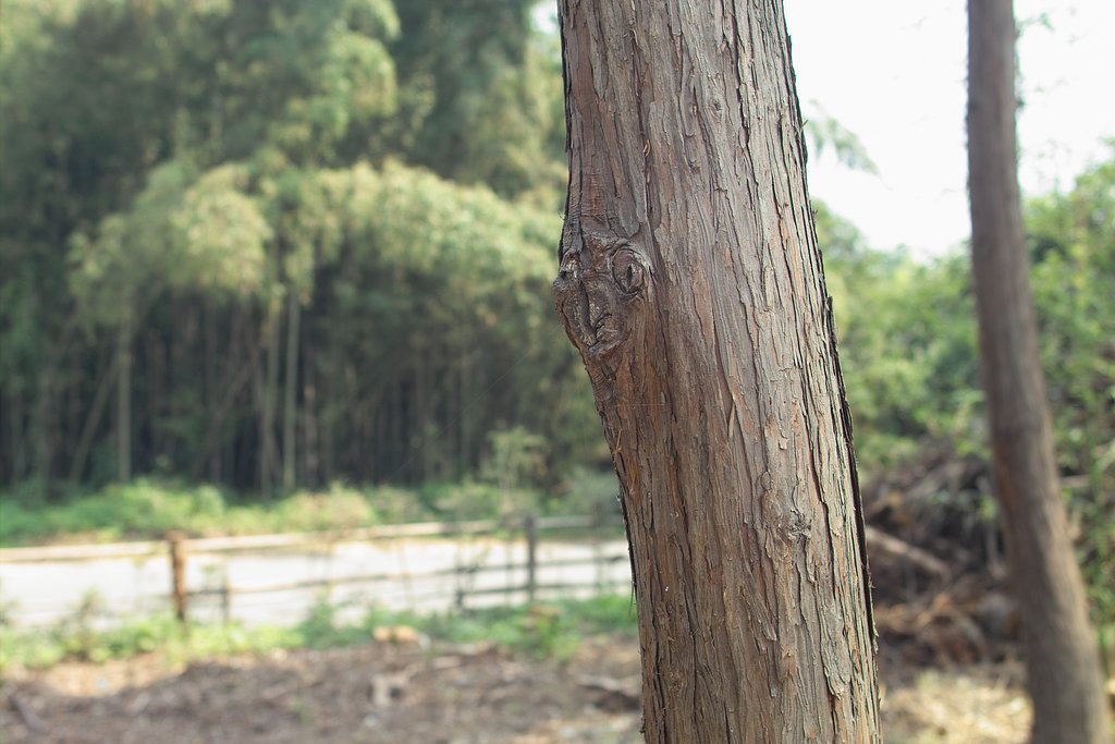 【木】憂鬱