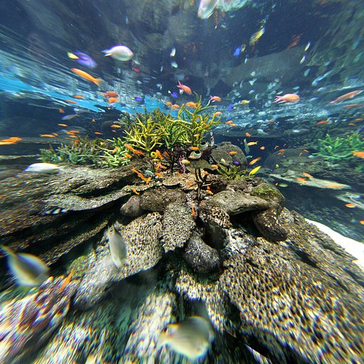 水族館