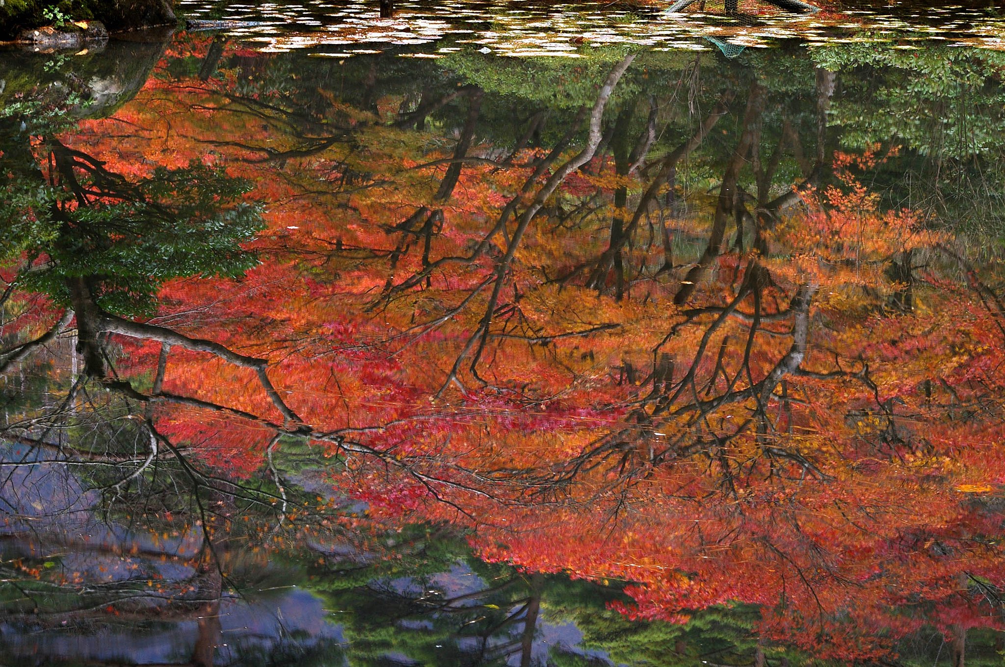盛秋を映す