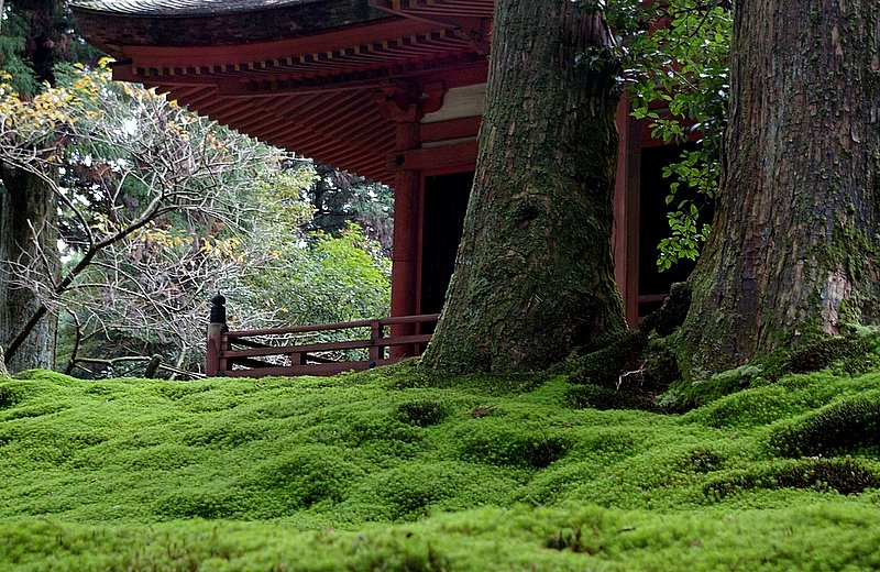 苔むした古寺
