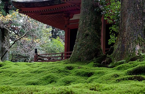 苔むした古寺