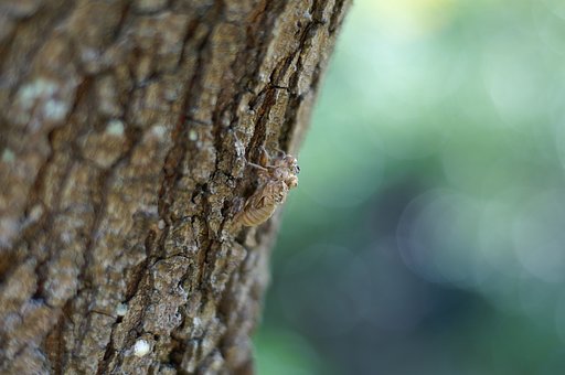 11月3日の写真