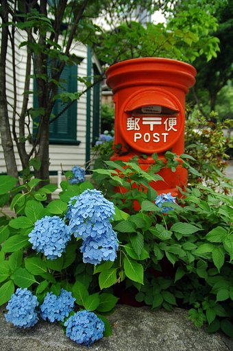 北野坂の紫陽花の家