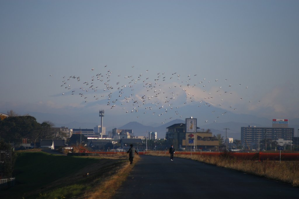 散歩道