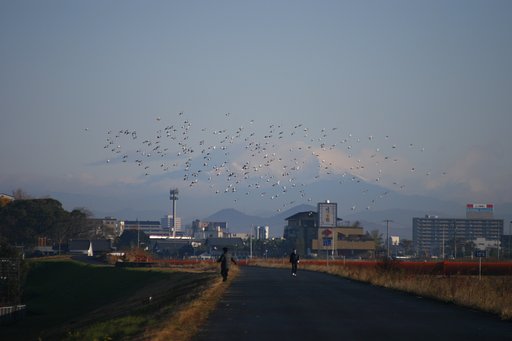 散歩道