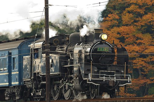紅葉バックに・・・