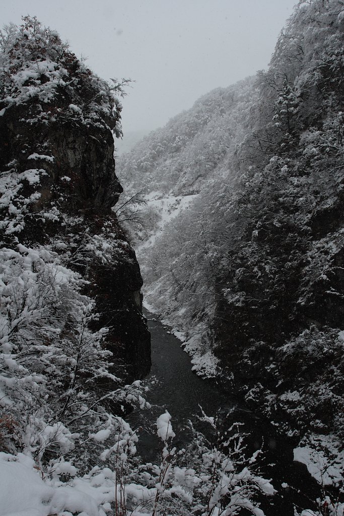 雪景色