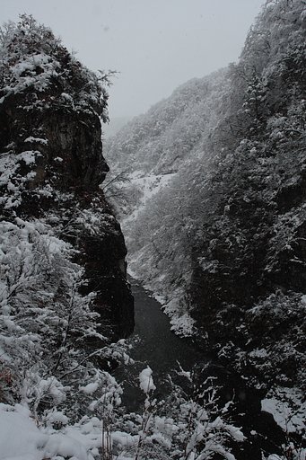 雪景色