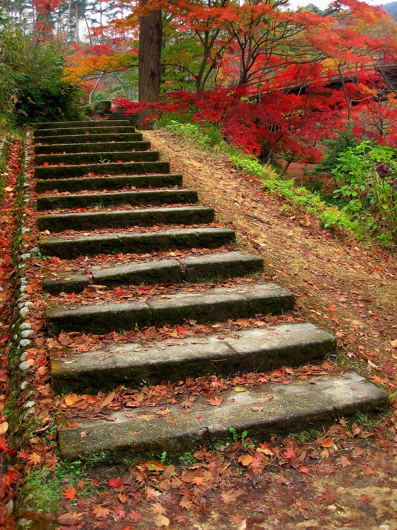 階段のある風景