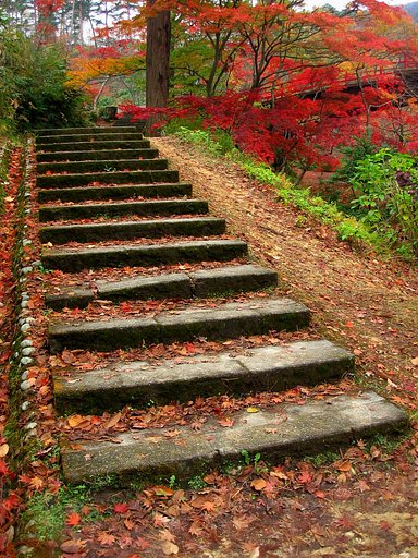 階段のある風景