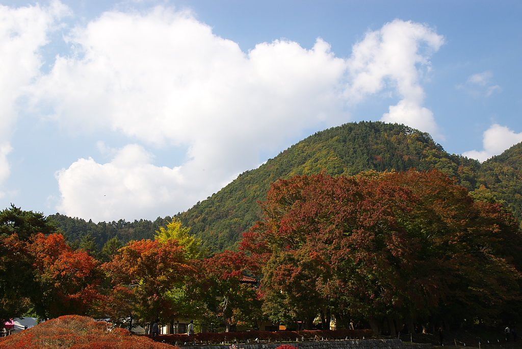 河口湖紅葉祭り