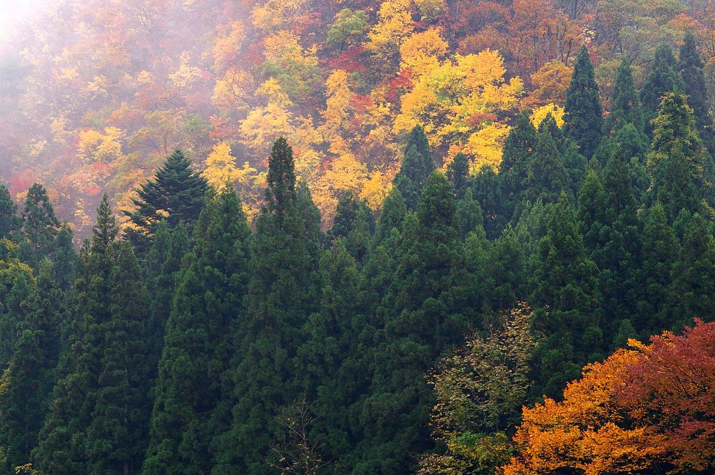 山腹、潤む。