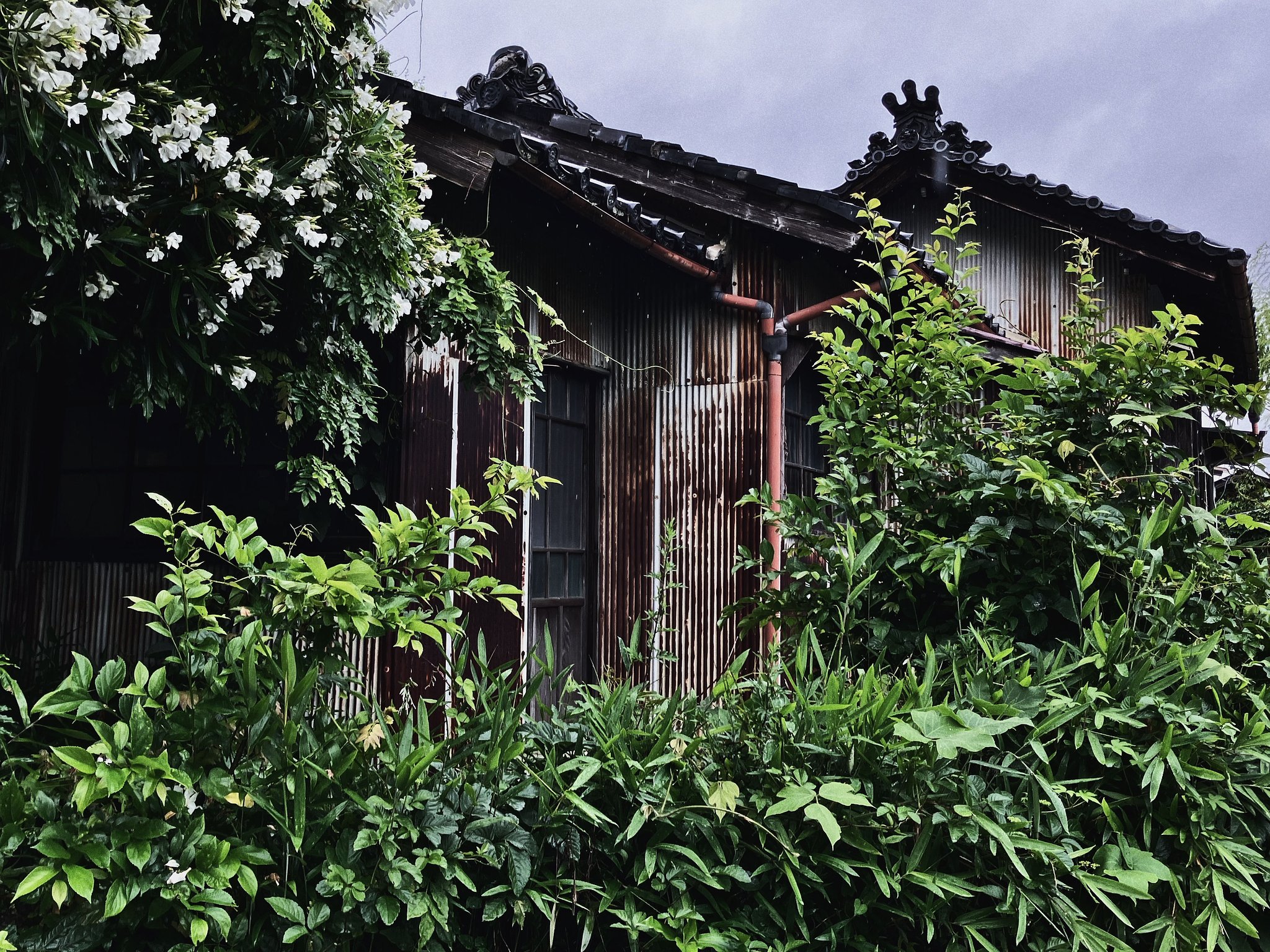 廃屋