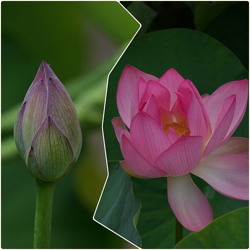 開花