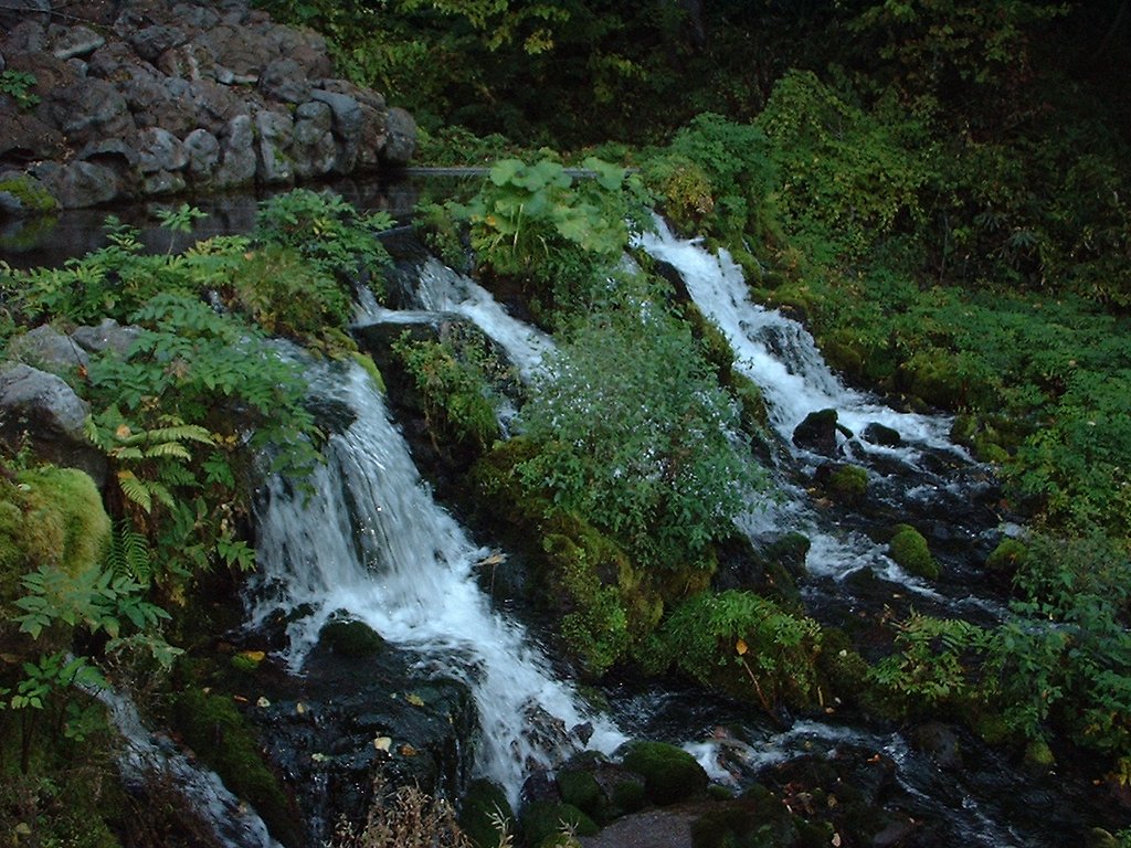 水