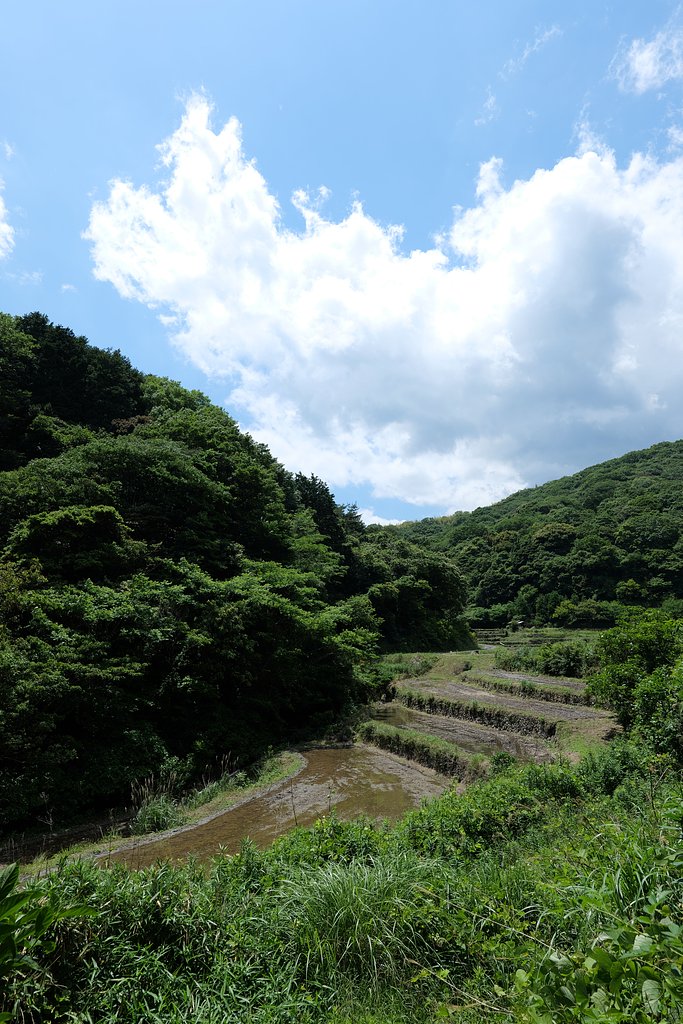 棚田の空