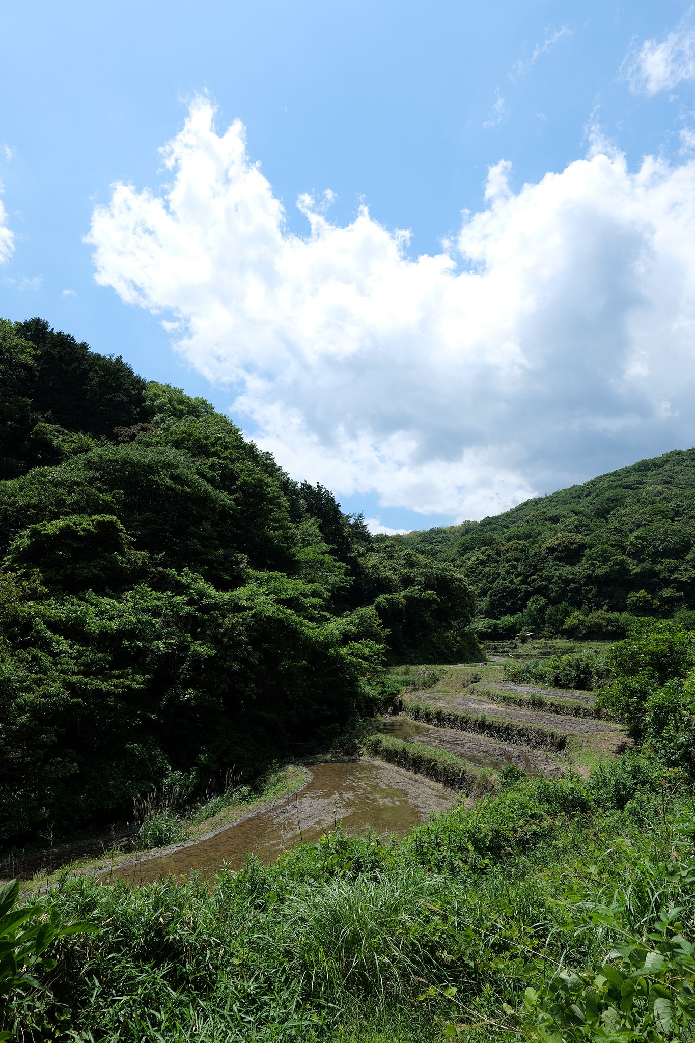 棚田の空