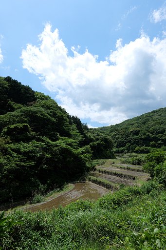 棚田の空