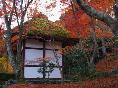 京都にて(1)