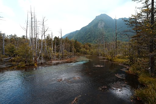 岳沢湿原
