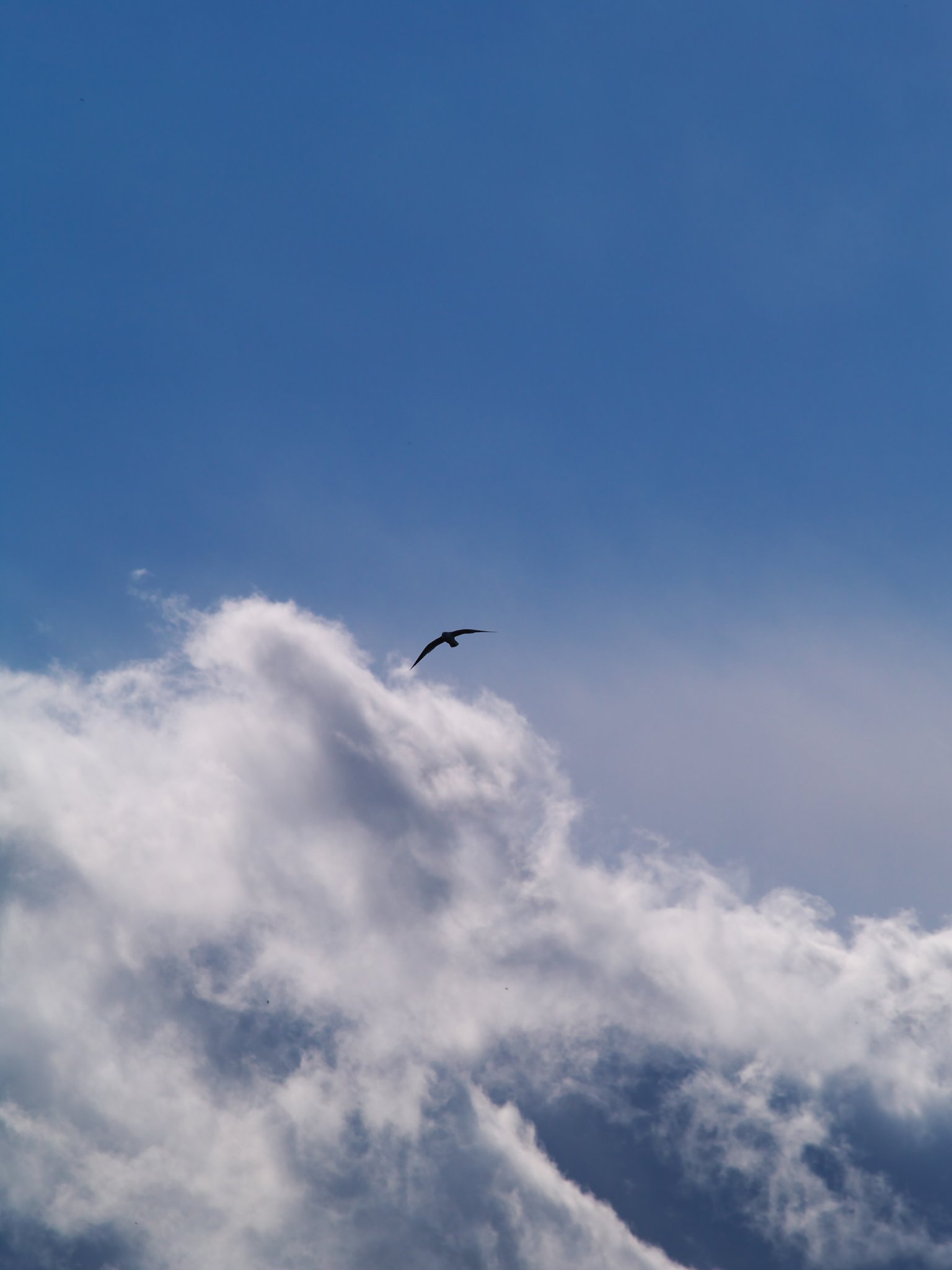 青空のかなたへ