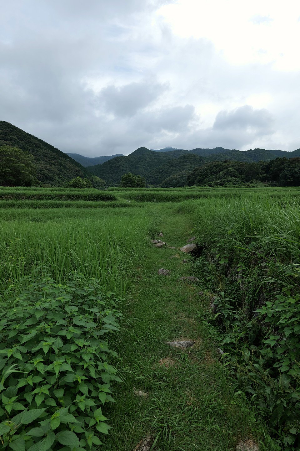 里山